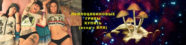 ГАЛЛЮЦИНОГЕННЫЕ ГРИБЫ Приозерск