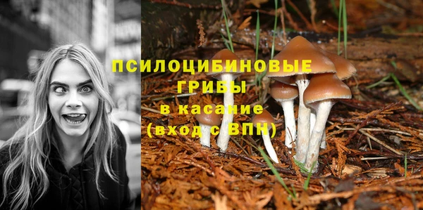 стаф Пролетарск
