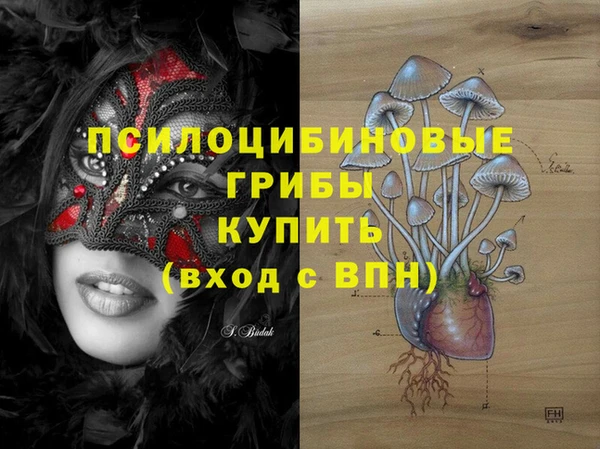 стаф Пролетарск