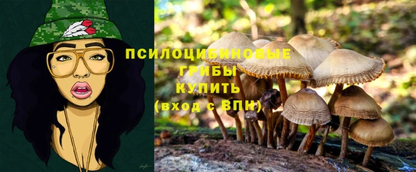 дживик Покров
