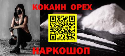стаф Можга