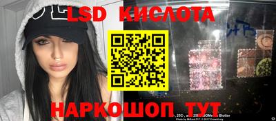 стаф Можга