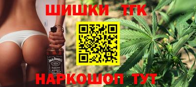 стаф Можга