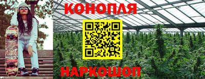 стаф Можга