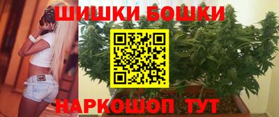 стаф Можга