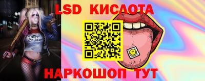 стаф Можга