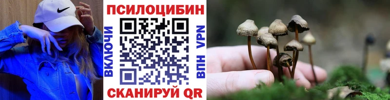 Псилоцибиновые грибы Psilocybe  цены   Бирск 